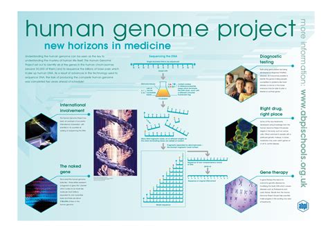 Human Genome Project Aims